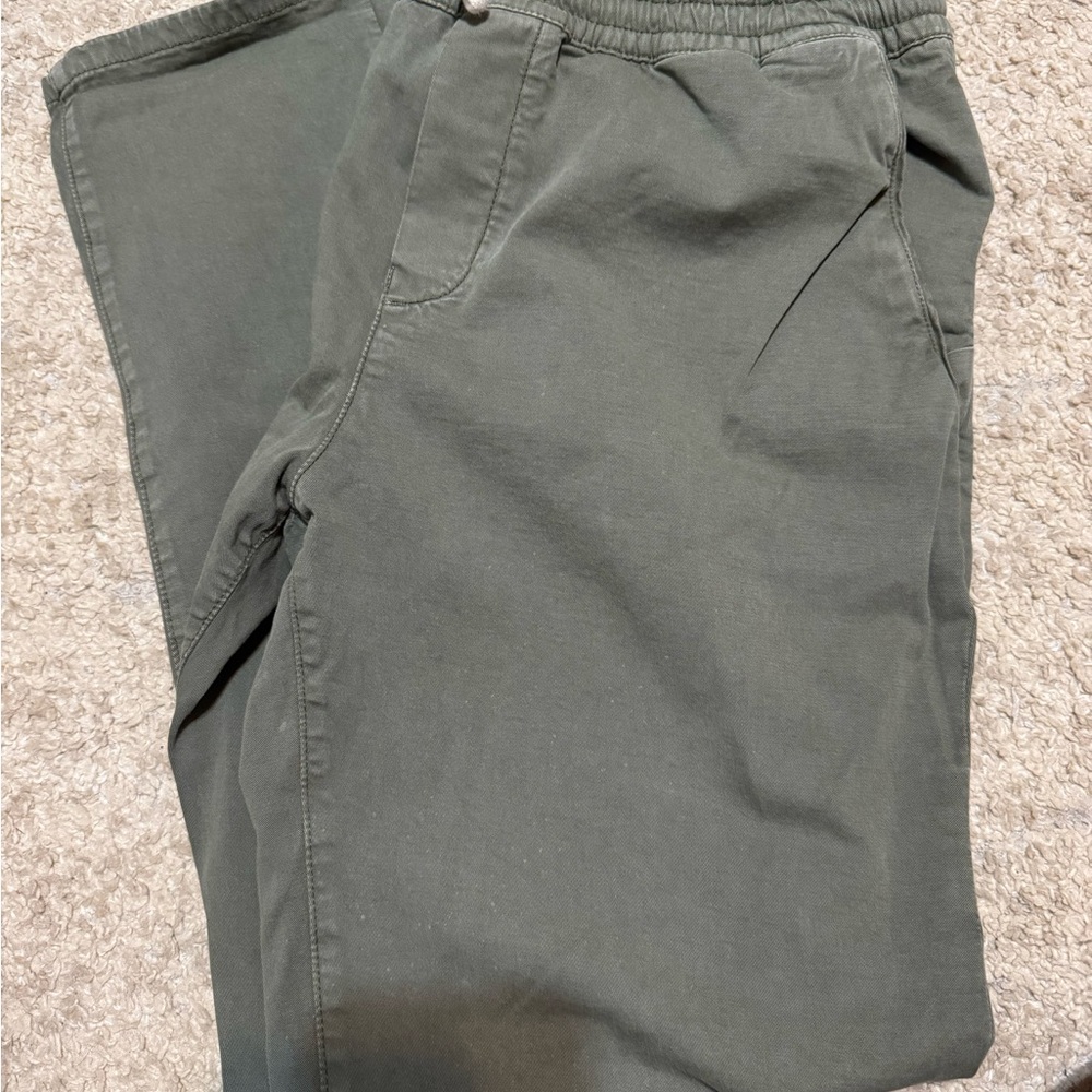 Marine Layer Forest Green Men's Pants